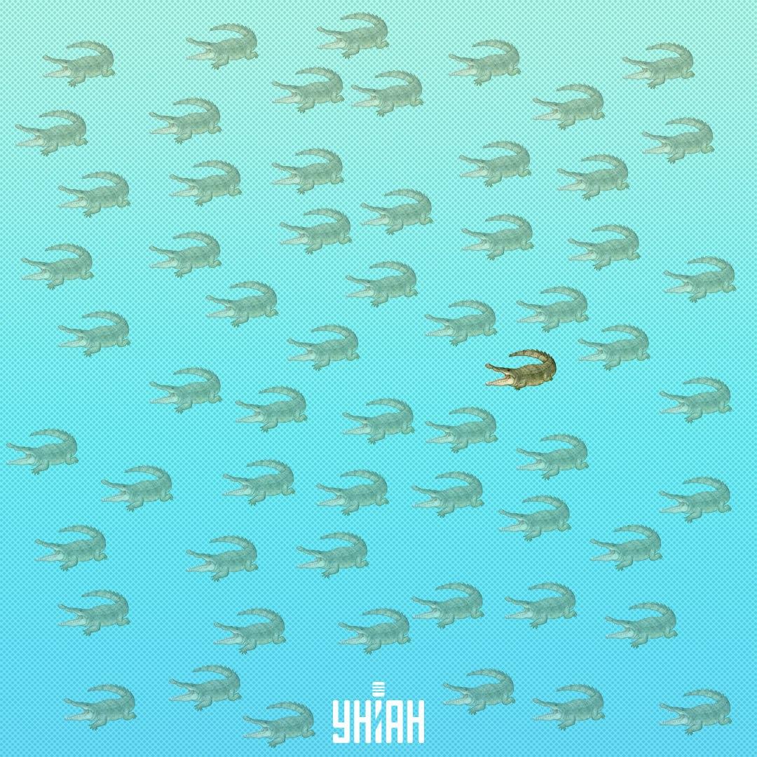 Deveria ter sido encontrado mais perto do centro, do lado direito / Moje Collage