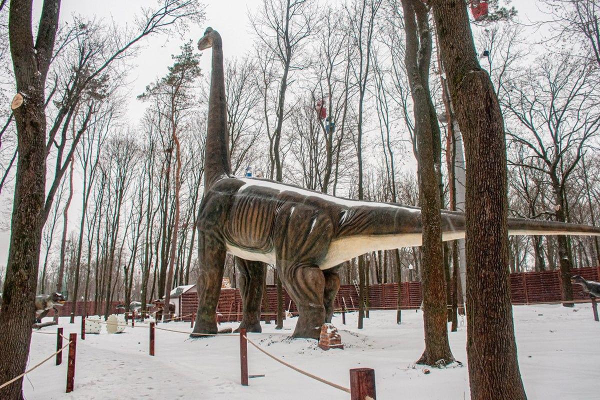 Encontrar um cão na neve em 10 segundos / Moje collage