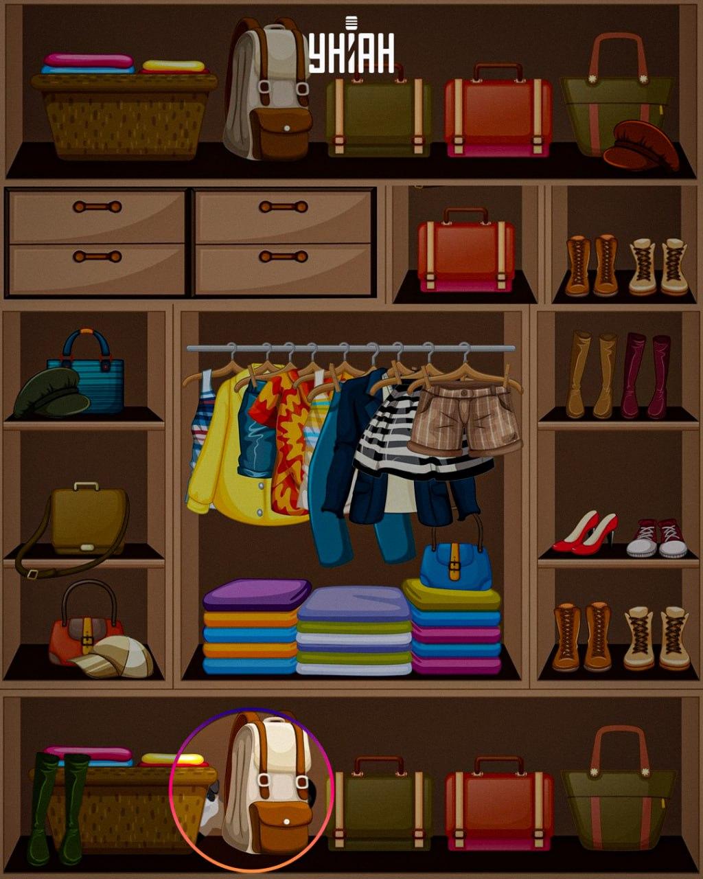 O animal astuto foi colocado na parte inferior da imagem / colagem Moje