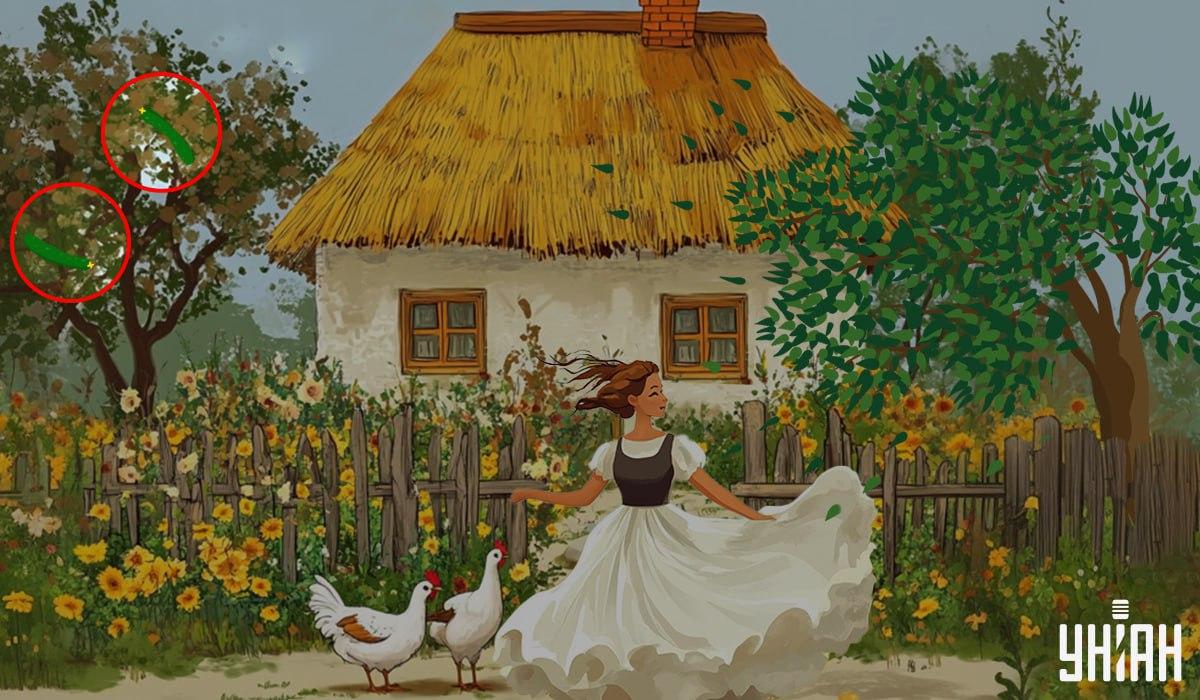 resposta / foto Moje