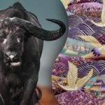 Encontrar o touro da imagem em 15 segundos: uma adivinha para os mais atentos Encontrar o touro da imagem em 15 segundos: uma adivinha