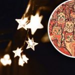 Ilusão de ótica para pessoas com visão de águia: é