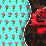 Só um génio encontraria uma rosa estranha em 5 segundos: