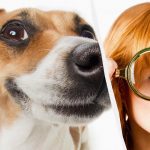 Só um verdadeiro titã do QI verá um cão na neve em 10 segundos: uma ilusão de ótica de cortar a respiração Só um verdadeiro titã do QI verá um cão na