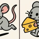 Super puzzle: encontrar 3 diferenças numa imagem de um rato