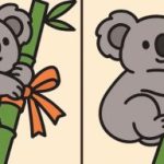 Teste de super QI: encontrar 3 diferenças numa fotografia de